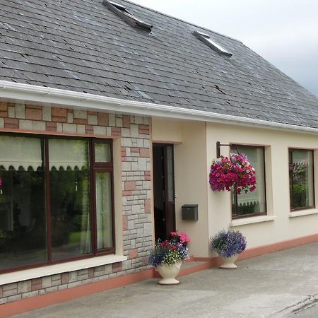 Palmgrove Bed&Breakfast Listowel Exteriér fotografie